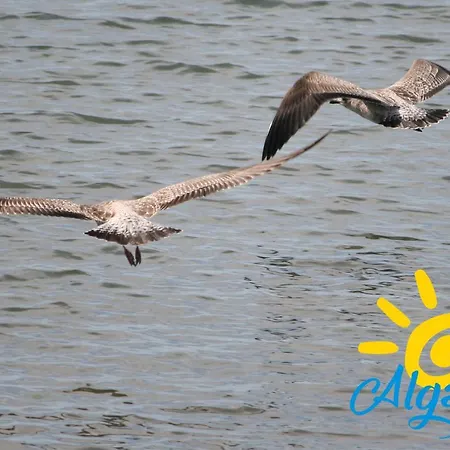 Apartman Mar 2bdr W Pool & Patio