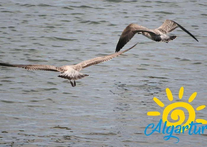 Apartment Santa Luzia Mar 2Bdr - Pool - Wi-Fi - Bbq